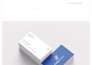 design a premium startup logo with brand kit, mockups and brand guide